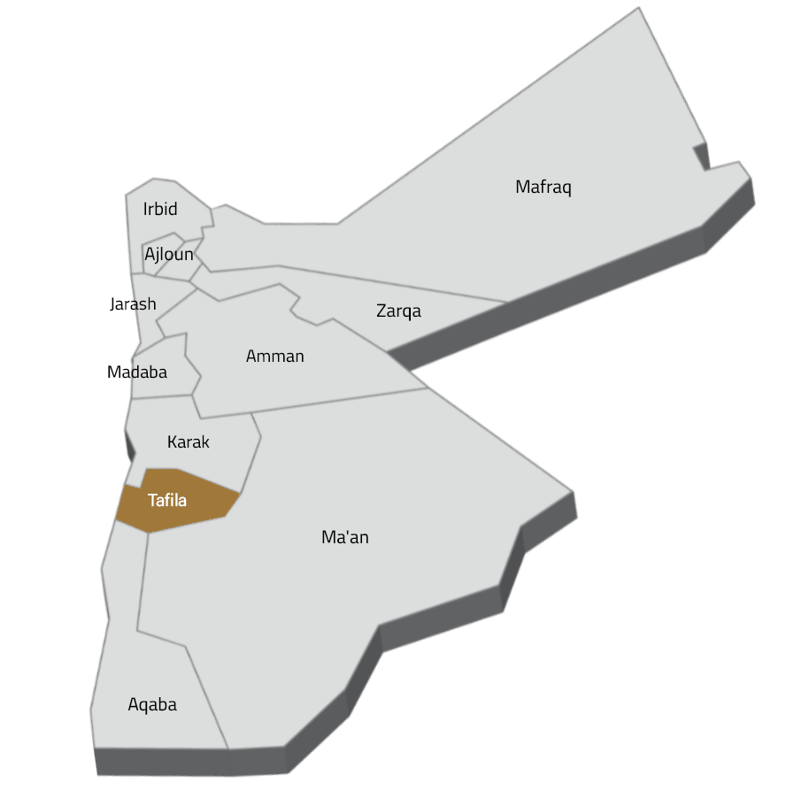 Service Centre Tafilah