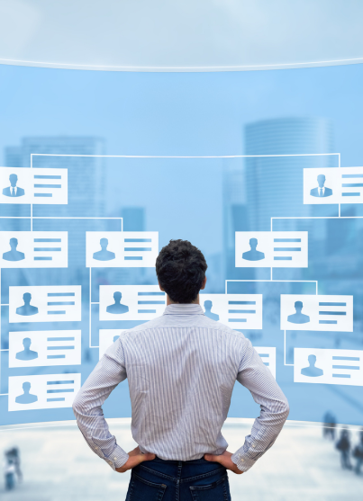 Procedures and Digitization