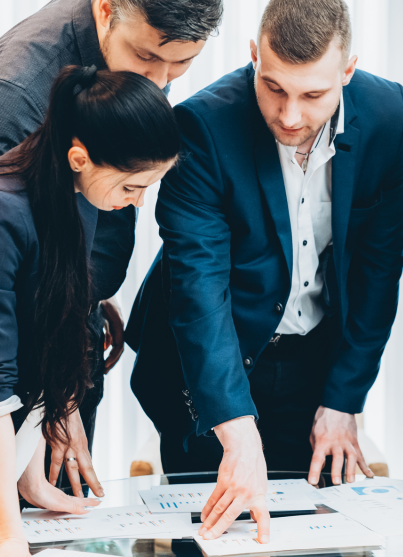 Organizational structure and governance