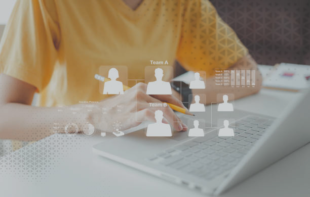 Organizational structure and governance
